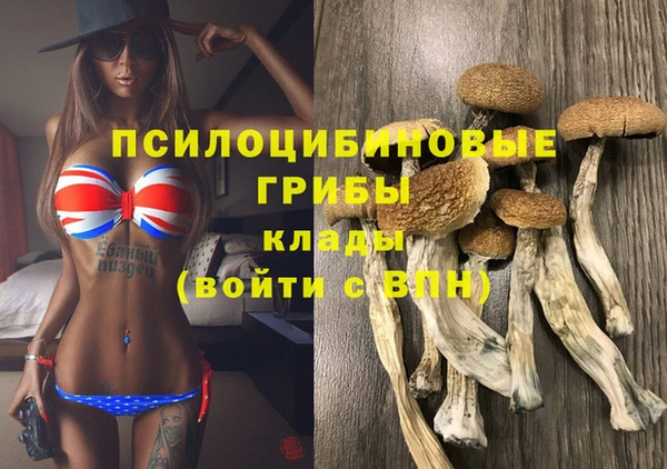 марки lsd Горно-Алтайск